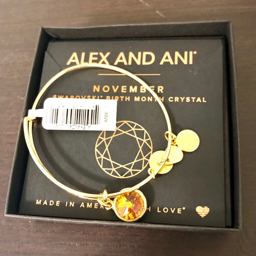 Alex and Ani November Charm Bracelet